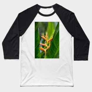 Tropical Heliconia Floral Photography Baseball T-Shirt